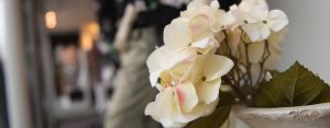 polmode-header-winkel-08